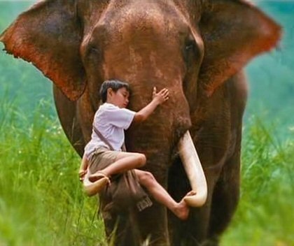GANESHAPARK